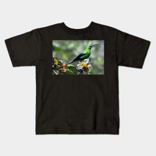 Malachite Sunbird, South Africa Kids T-Shirt